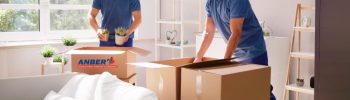 fully insured movers