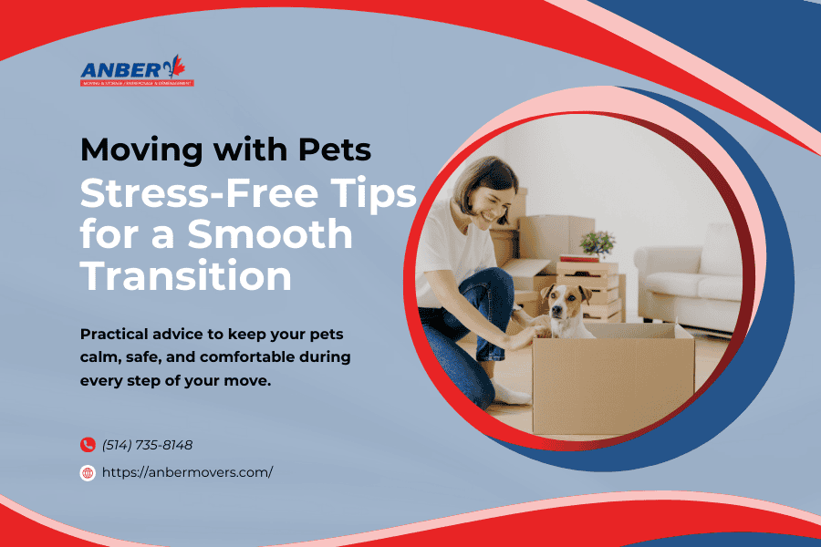 Moving with Pets: Stress-Free Tips for a Smooth Transition