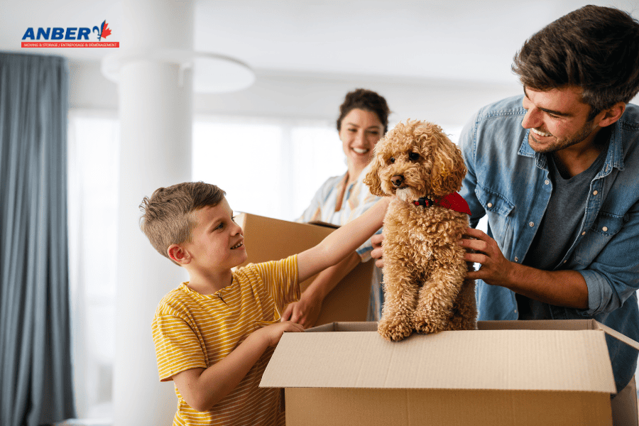 Why Moving Can Be Stressful for Pets